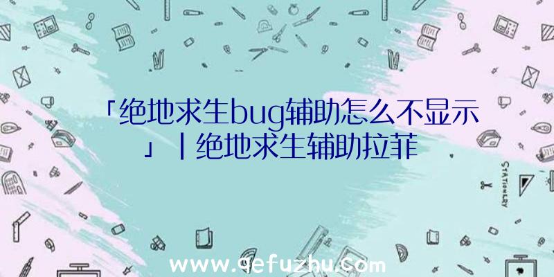 「绝地求生bug辅助怎么不显示」|绝地求生辅助拉菲